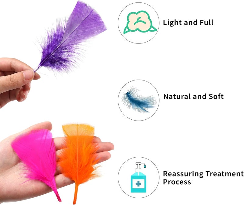 Soarer Colorful Craft Turkey Feathers - 300pcs 3-5inch Colored Feathers for Kindergarten DIY Crafts,Wedding Home Party Decorations,Dream Catcher Supplies(Turkey Colorful) - Image 4